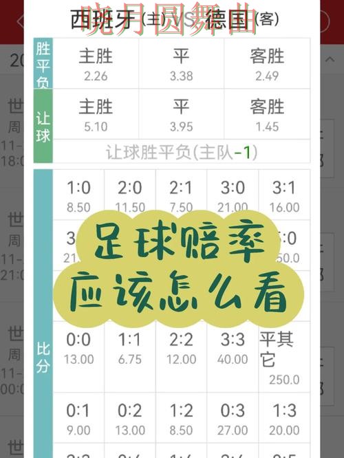 世界杯买球网站赔率变化怎么看更合理完整教学